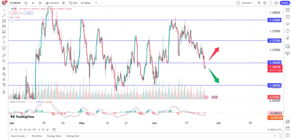 loonie gains following dollar retreat, oil support trading opportunities 25 June 2024