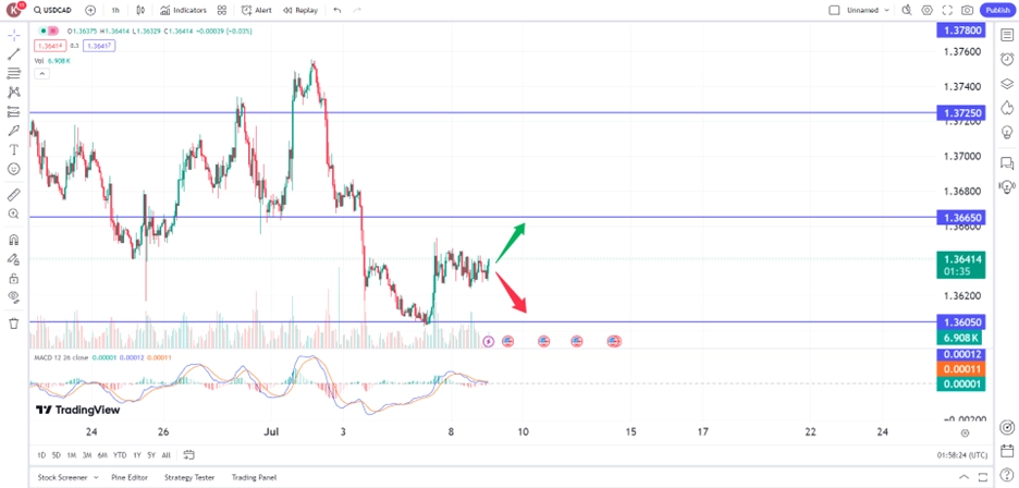 loonie slips following prospect of BoC rate cut trading opportunity 9 July 2024