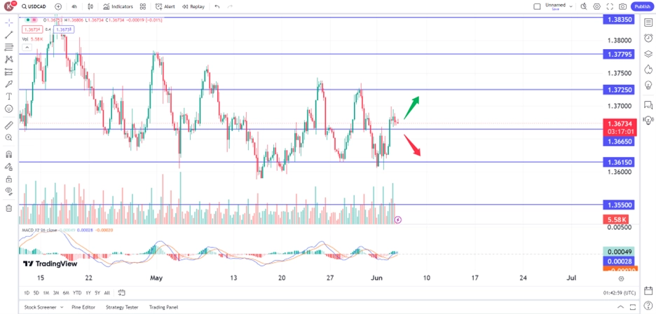 loonie slips on BoC rate cut expectation trading opportunities 5 June 2024